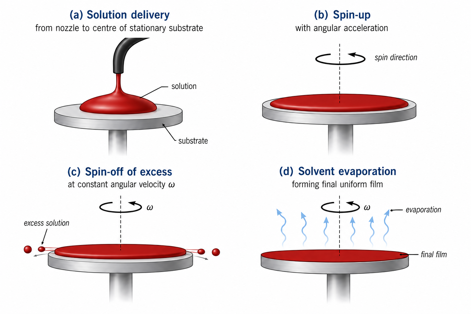 Four-panel spin coating sequence. Panel (a): solution dispensed from a nozzle onto the centre of a stationary flat substrate, forming a large puddle. Panel (b): substrate begins to spin (dω/dt ≠ 0) — the liquid spreads outward as an accelerating disc. Panel (c): constant spin speed ω — the film has thinned uniformly; liquid droplets are flung off the rim. Panel (d): final evaporation stage at constant ω — solvent vapour rises from the thin uniform film while residual liquid continues to spin off at the edges.