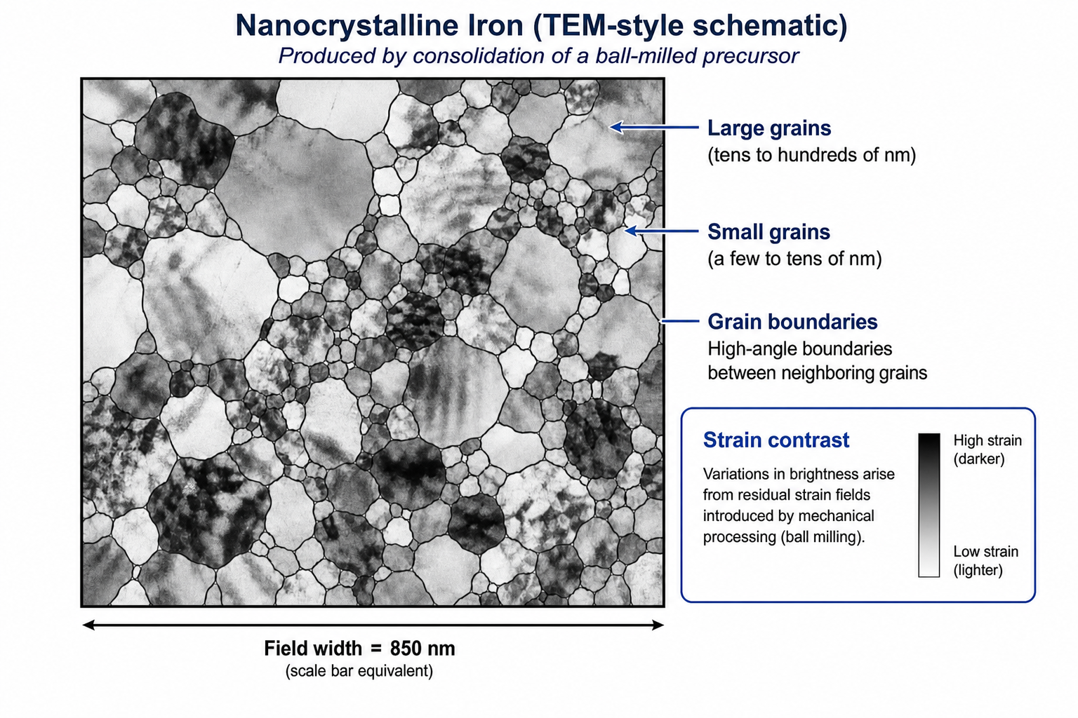 Transmission electron micrograph of nanocrystalline iron produced by consolidation of a ball-milled nanocrystalline precursor. The image shows a wide range of grain sizes from a few nanometres to tens of nanometres. Many grains show internal strain contrast and dislocation debris from the prior ball-milling plastic deformation. Width of the photograph represents 850 nm.