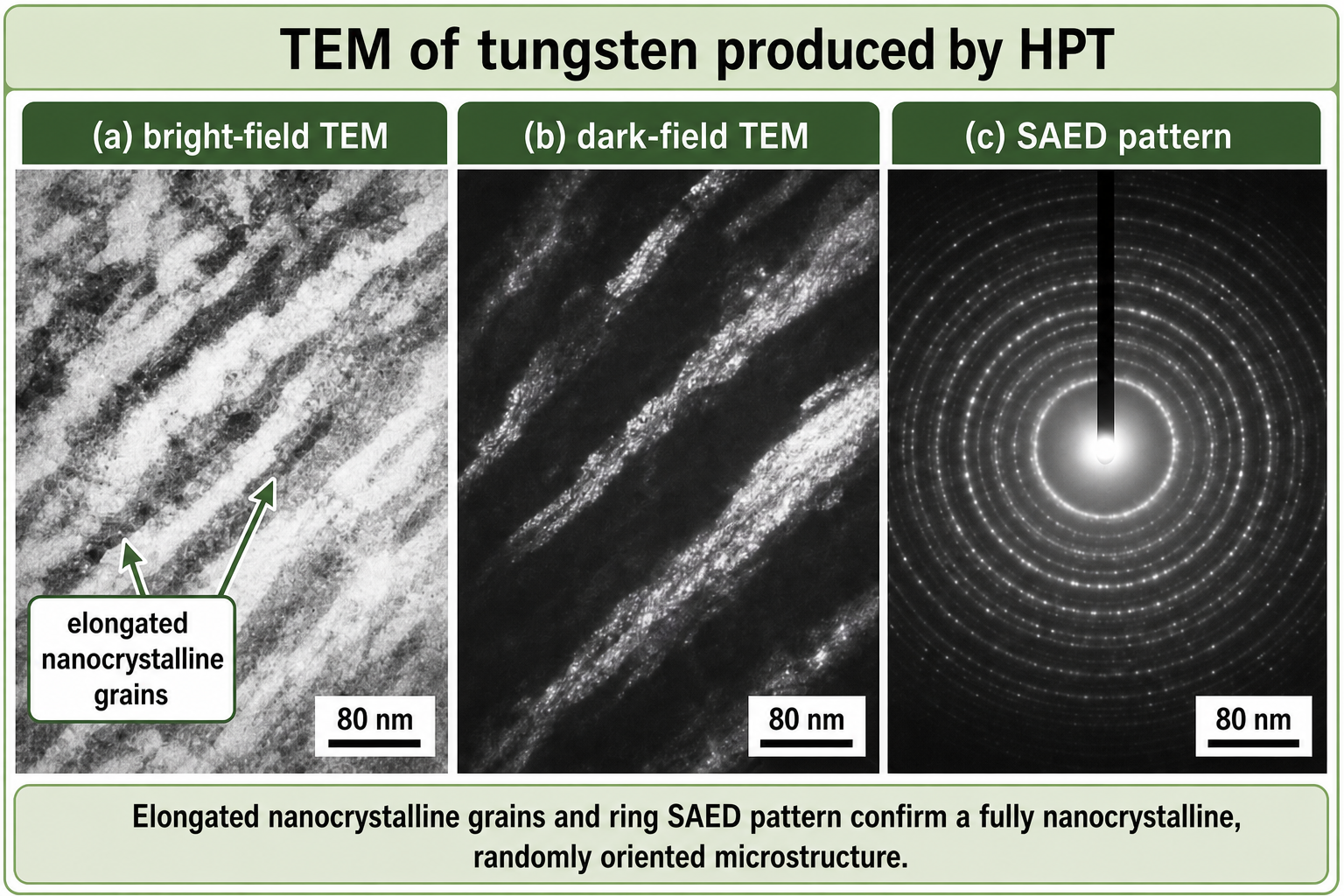 Three-panel TEM of tungsten (W) processed by HPT. Panel (a) bright-field TEM micrograph showing highly elongated, heavily deformed grain fragments with complex internal contrast indicating high dislocation density; scale bar 80 nm. Panel (b) dark-field TEM micrograph of the same region, highlighting grain fragments with differing orientations in contrasting brightness; scale bar 80 nm. Panel (c) selected area electron diffraction (SAED) pattern showing continuous diffraction rings, confirming a nanocrystalline microstructure with random crystallographic orientations introduced by HPT.