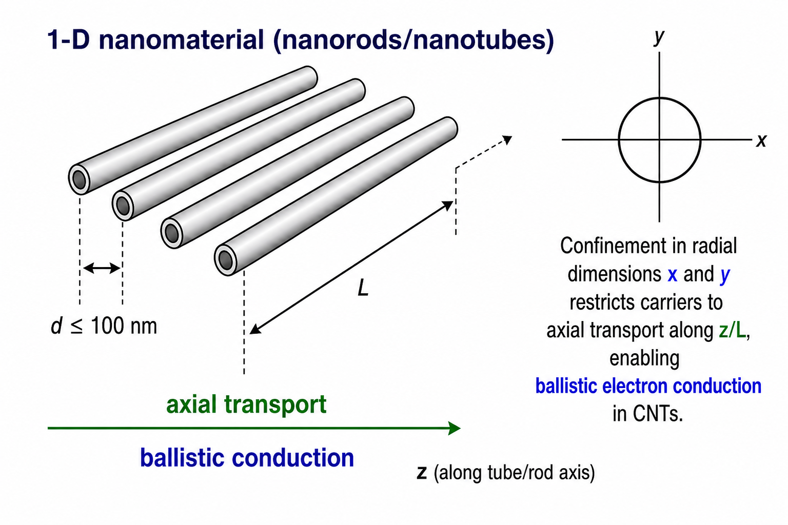Geometry schematic for a 1-D nanomaterial. Left: an oblique isometric view of a bundle of aligned nanorods/nanotubes with the constraint d ≤ 100 nm labelled on the diameter and L on the length. Right: the cross-sectional end-on view showing a circular cross-section on xy axes, indicating that confinement acts in both x and y (radial) directions while motion is free along the z (axial) direction.