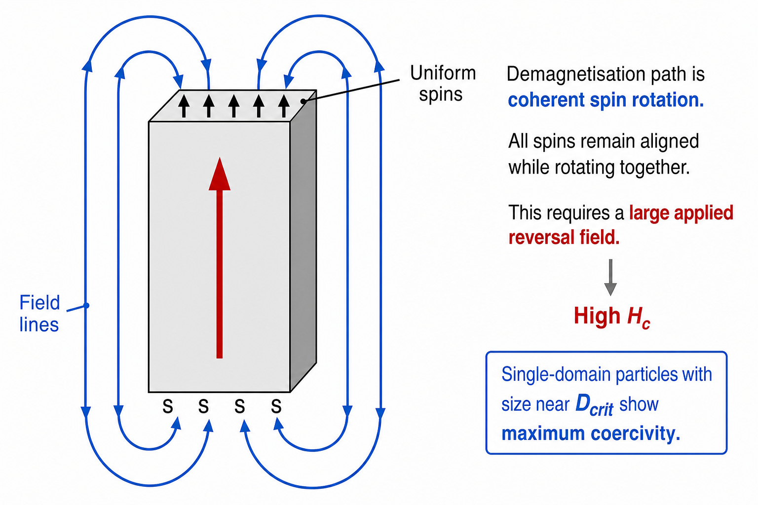 Single-domain particle schematic showing a grey rectangular magnet block with an upward red arrow indicating uniform magnetisation. At the top, four field-line loops (labelled N N N N at the apex) emerge and return to the base (labelled S S S S), representing the stray field of the single-domain particle. The enclosing dashed loop shows the complete closed flux path.