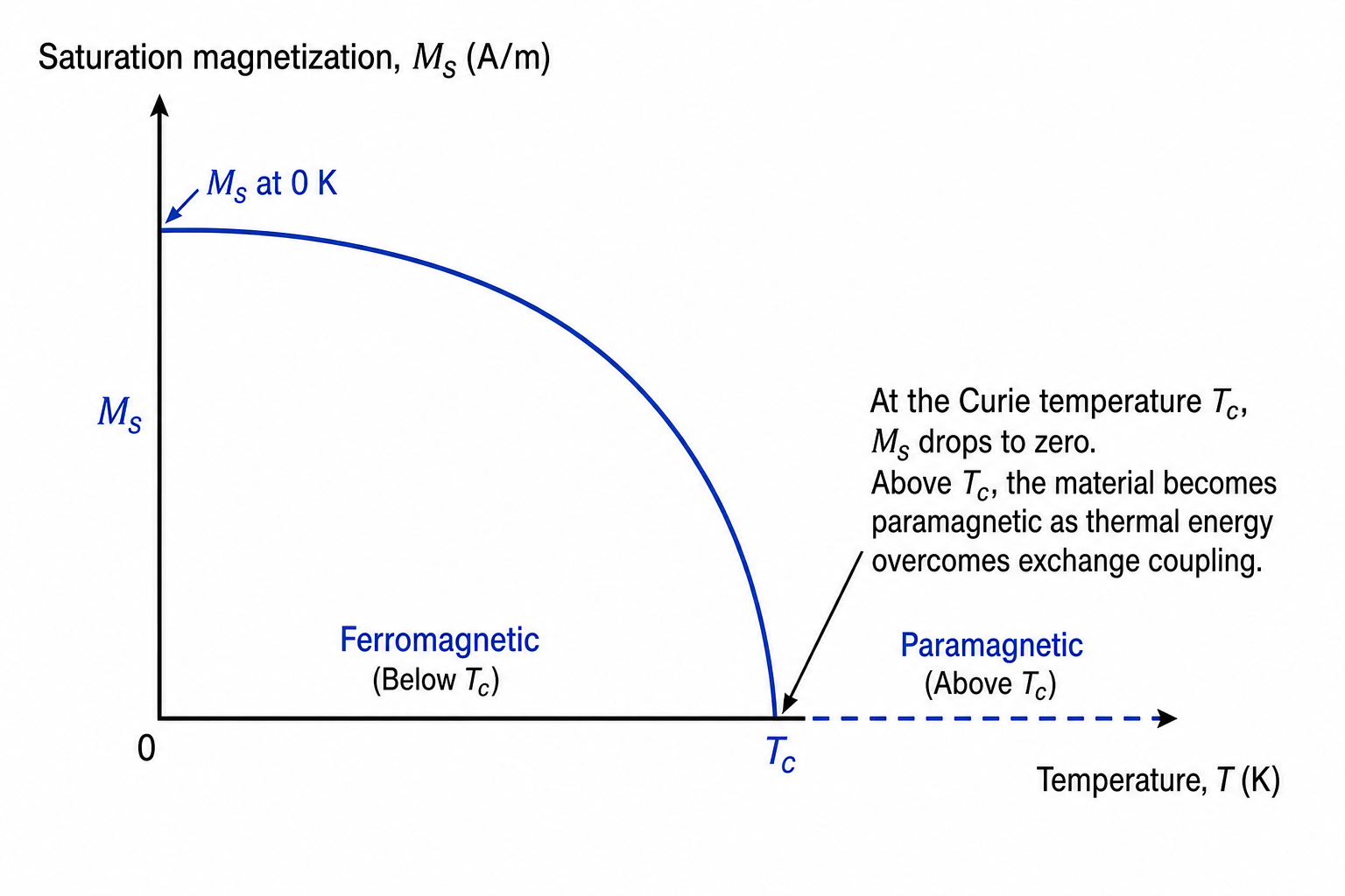 Graph of saturation magnetisation M_s (A/m, linear scale) versus temperature T (K, linear scale from 0 to beyond T_c). The curve starts at M_s at 0 K (maximum value, marked with an arrow on the left) and decreases monotonically with a concave shape, dropping sharply to zero at the Curie temperature T_c (marked with an annotation on the right).