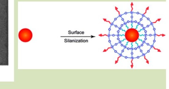 Schematic of surface silanization: a plain red sphere (nanocrystal) is shown alongside a schematic of the same sphere after silanization — covered with a ring of small blue circles connected by short arms radiating outward, representing silanyl linker groups on the nanocrystal surface, with red arrows indicating available binding sites.