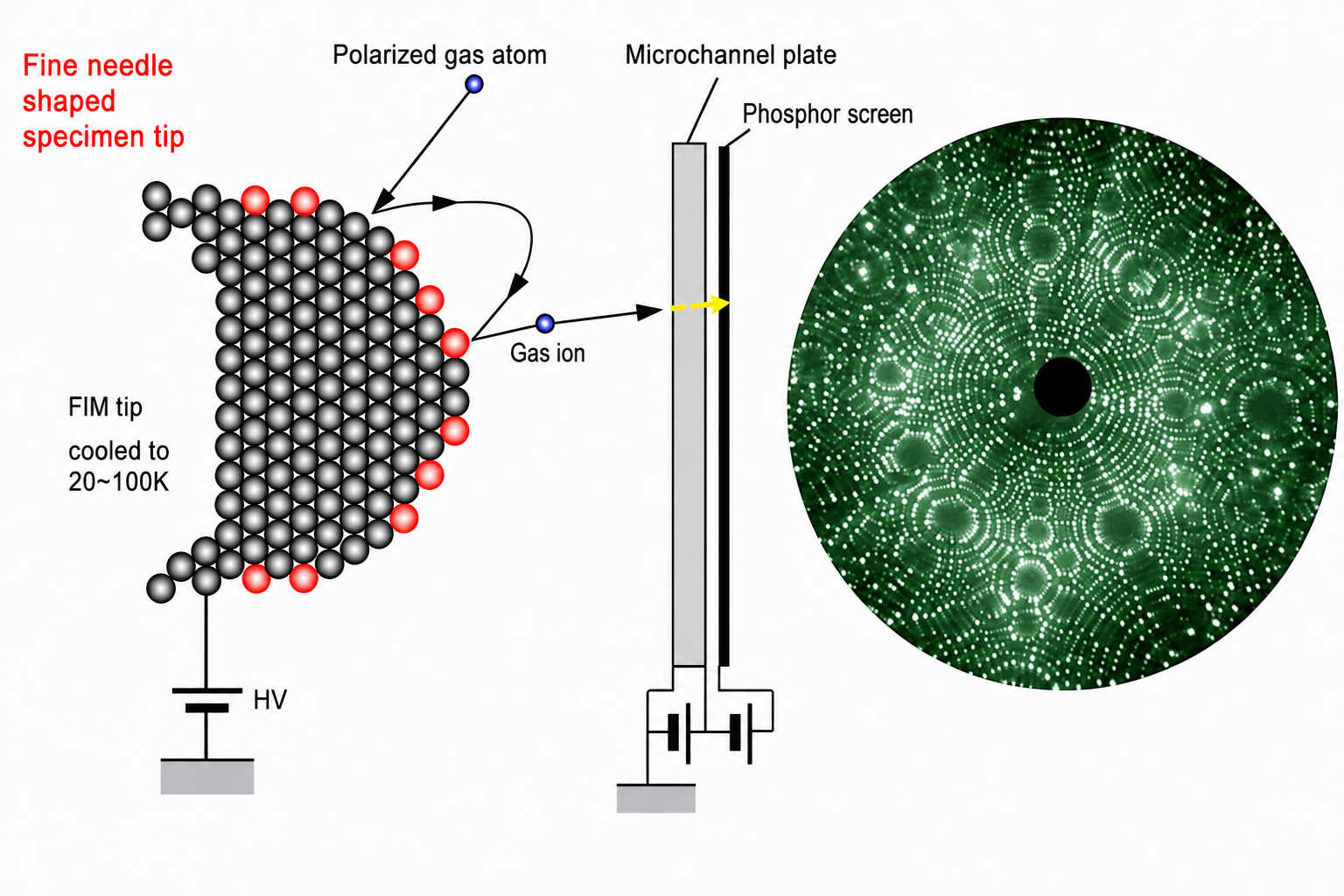 FIM schematic showing needle tip, polarised gas atoms, microchannel plate and phosphor screen alongside an actual FIM pattern