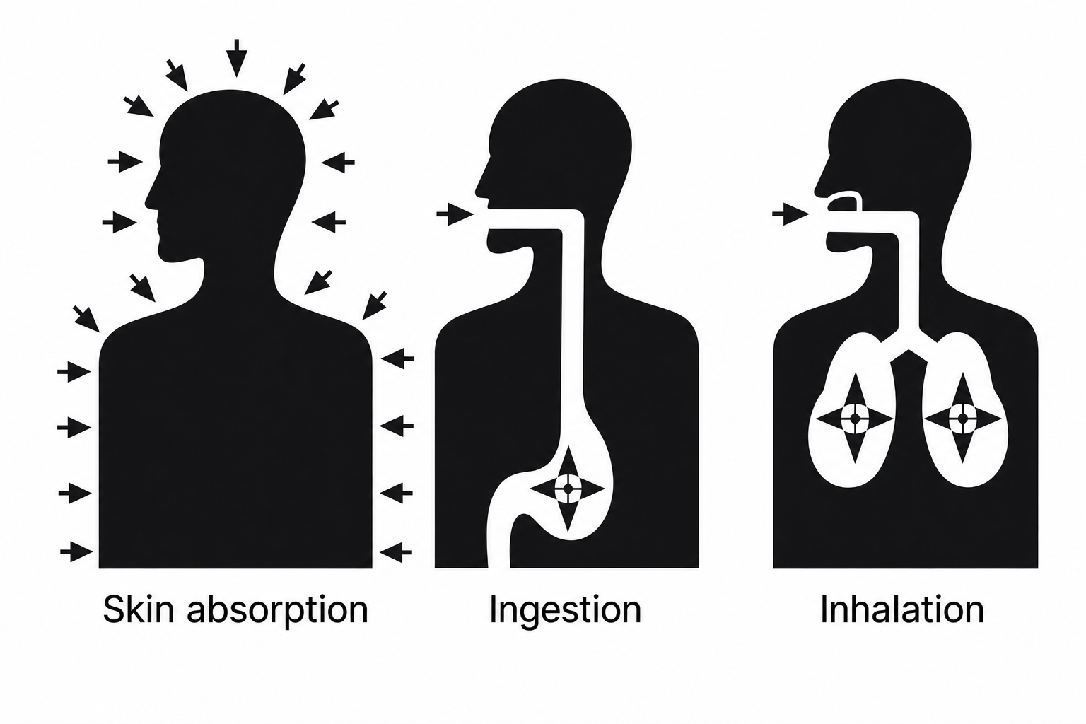 Three silhouette diagrams showing nanoparticle entry routes: skin absorption (arrows indicating surface penetration), ingestion (throat and stomach), and inhalation (lungs)