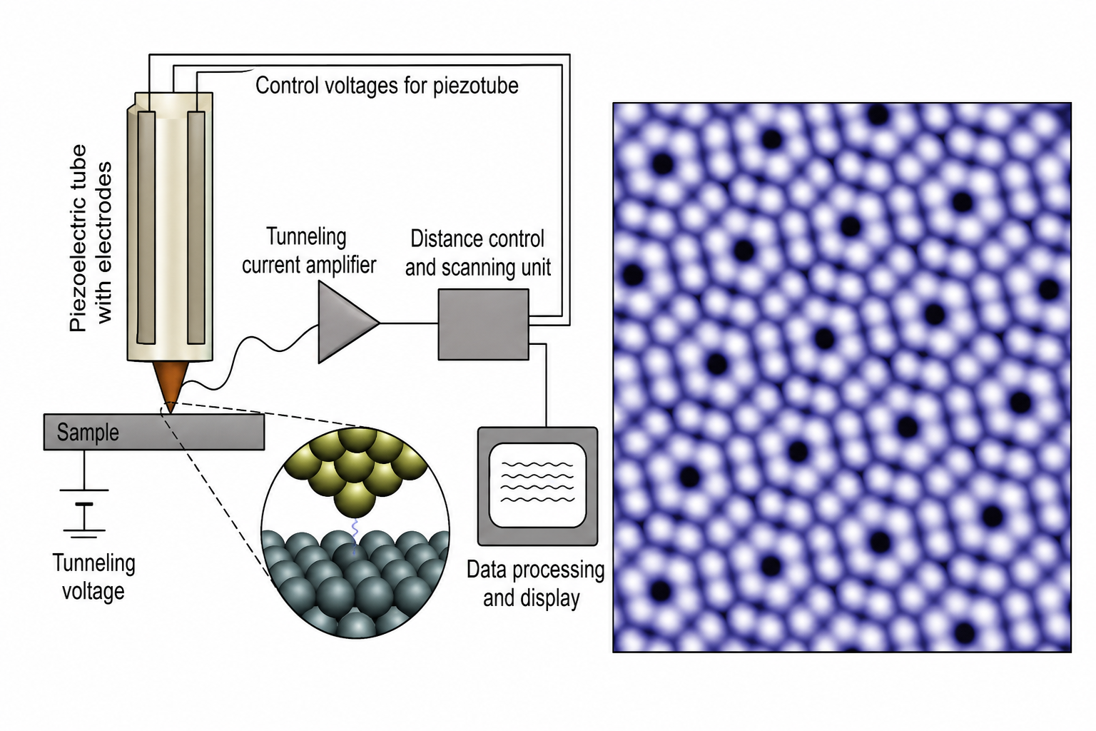 STM schematic showing piezoelectric tube scanner, tunnelling current amplifier, distance control unit, and data processing system, alongside an STM image of the Si(111) 7×7 surface reconstruction