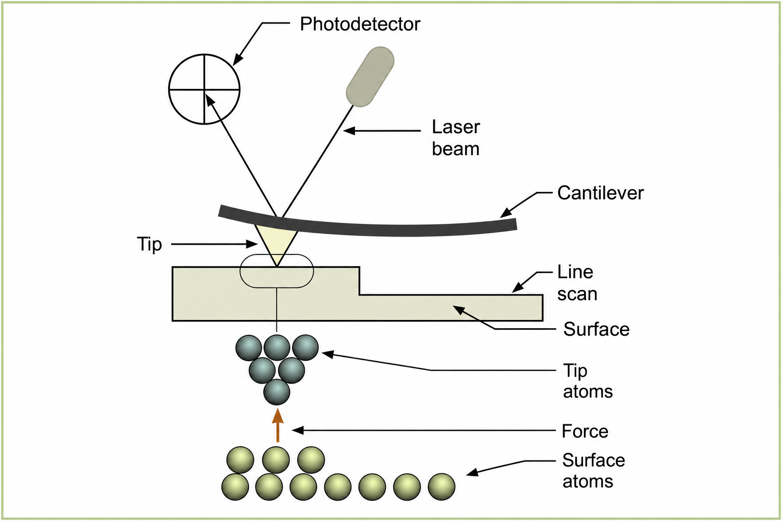 AFM schematic showing cantilever with sharp tip, laser beam reflected off cantilever to split photodetector, with labels for photodetector, laser, cantilever, tip, line scan, surface, tip atoms, force, and surface atoms