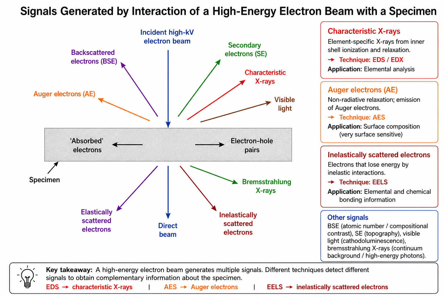 Schematic of electron–specimen interaction showing incident high-kV beam striking a specimen layer. Signals generated include: secondary electrons (SE), backscattered electrons (BSE), characteristic X-rays, visible light, Auger electrons, absorbed electrons, electron-hole pairs, Bremsstrahlung X-rays, elastically scattered electrons, direct beam, and inelastically scattered electrons. Labels for all signal types are indicated with arrows.