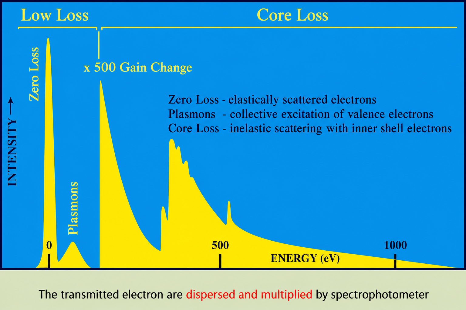 EELS spectrum plotted as intensity versus energy (eV) from 0 to 1000 eV. The dominant zero-loss peak is labelled (elastically scattered electrons, red annotation: no information is acquired). A smaller plasmons region follows (labelled Plasmons). The spectrum then decays across the core-loss region. Three zones are labelled: Zero Loss, Low Loss, and Core Loss. Text overlay: Zero Loss = elastically scattered electrons; Plasmons = collective excitation of valence electrons; Core Loss = inelastic scattering with inner shell electrons. Note: x500 gain change applied to show low-loss and core-loss regions.