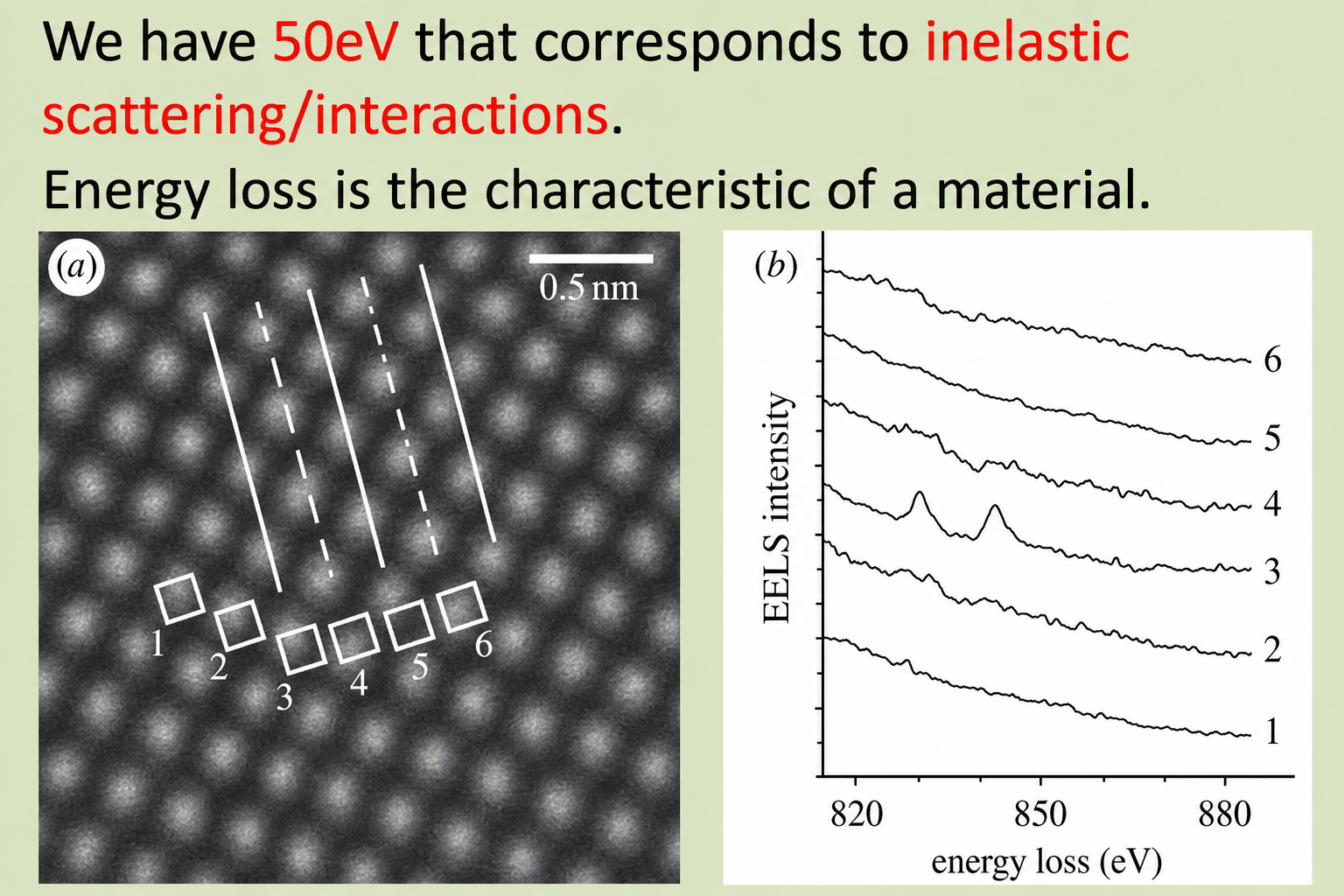 EELS spectrum showing element-specific core-loss signal from atomic columns. Left panel (a): atomic-resolution STEM image of a crystal with white box regions numbered 1–6 marking individual atomic columns (0.5 nm scale bar). Right panel (b): EELS spectra from each of the six marked columns plotted as EELS intensity versus energy loss (eV) from 820 to 880 eV. Spectra 1–3 and 6 show smooth decays; spectra 4 shows a prominent feature at ~880 eV (core-loss edge of a heavier element localised in those columns).