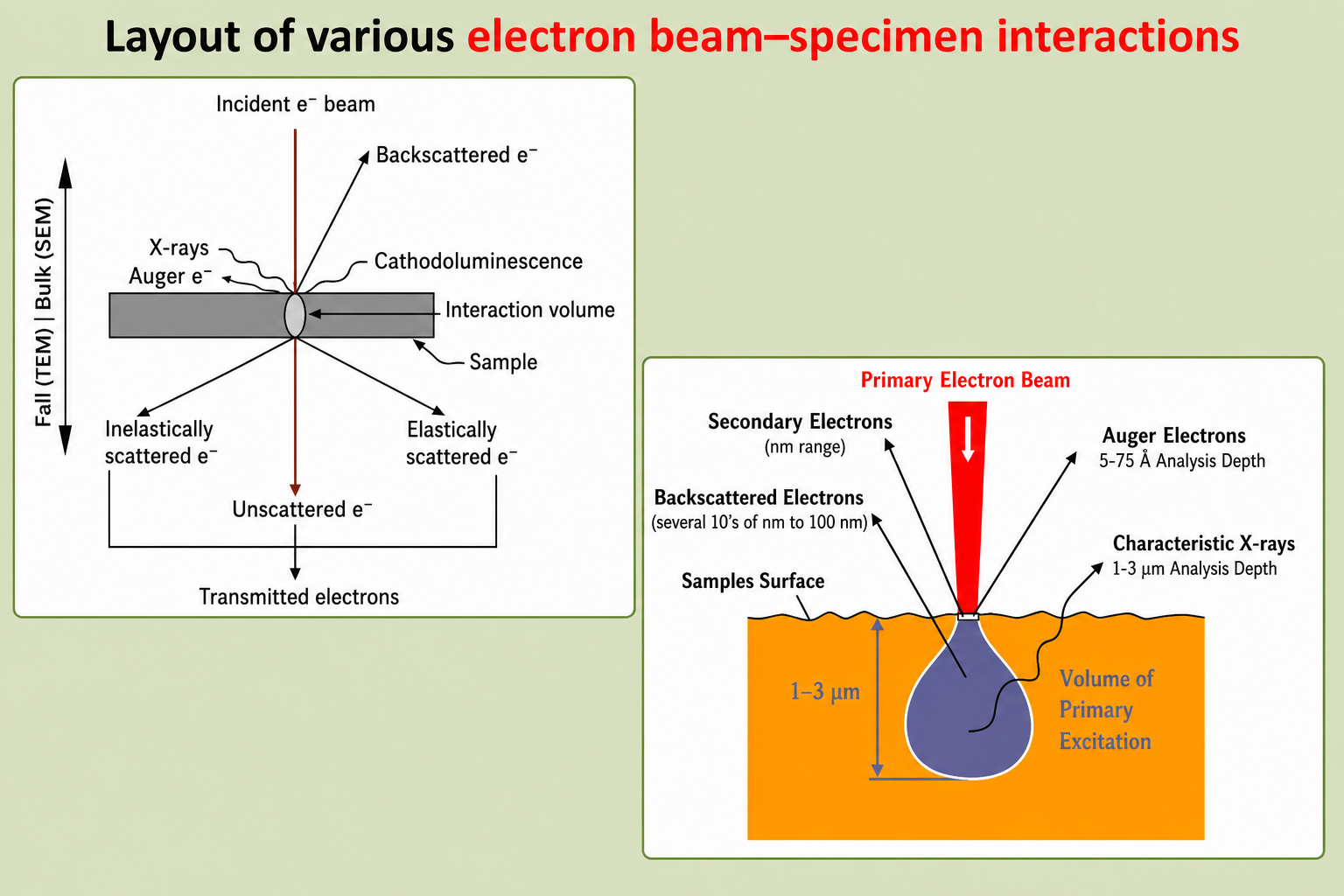Two-panel diagram of electron beam–specimen interactions. Left panel shows a bulk (SEM) specimen cross-section with incident e-beam entering from top, and emerging signals labelled: backscattered electrons, cathodoluminescence, X-rays, Auger electrons, interaction volume, sample, inelastically scattered electrons, elastically scattered electrons, unscattered electrons, and transmitted electrons (TEM). Right panel shows the depth-resolved analysis zones for a primary electron beam: secondary electrons (nm range), backscattered electrons (tens of nm to 100 nm), Auger electrons (5–75 Å analysis depth), characteristic X-rays (1–3 µm analysis depth), and the bulb-shaped volume of primary excitation (1–3 µm deep).