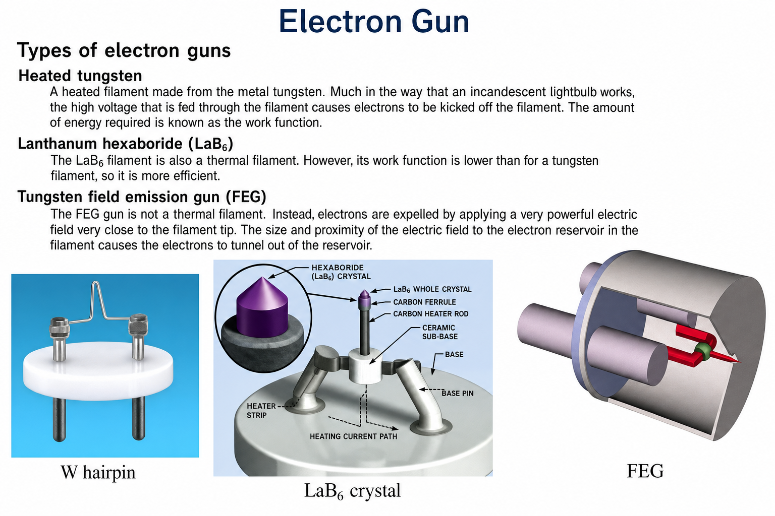 Electron Gun comparison table showing three types. Heated tungsten: a thermal filament where high voltage kicks electrons off. Lanthanum hexaboride (LaB6): lower work function than tungsten, more efficient. Tungsten field emission gun (FEG): electrons expelled by powerful electric field near a sharp tip. Photos show W hairpin filament (flat disc), LaB6 crystal (conical tip on mount), and FEG (cylindrical gun barrel).