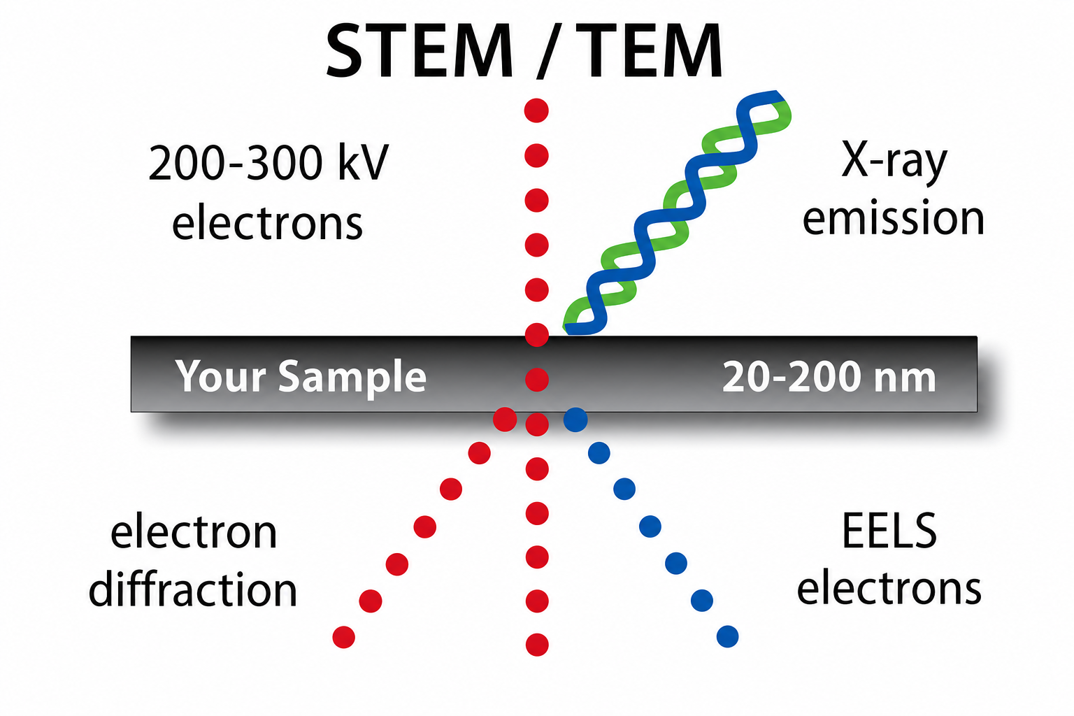 Schematic of STEM/TEM specimen geometry. A focused beam of 200–300 kV electrons enters from the top and passes through a thin specimen (20–200 nm thick). Emitted X-rays exit upward, electron diffraction exits downward, and EELS electrons exit at the bottom. Caption notes that for STEM, sample thickness is small compared to bulk, minimising X-ray emission volume.