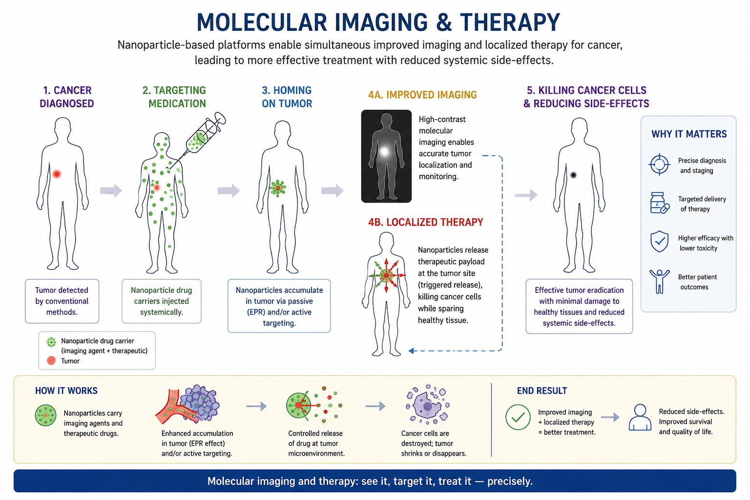 Schematic flow diagram titled Molecular imaging and therapy showing the treatment pipeline for cancer. Starting at left with a patient silhouette labelled Cancer diagnosed, the sequence shows Targeting medication delivered by injection, Homing on tumor (arrow to a smaller silhouette), then bifurcating into two outcomes: upper branch shows Improved imaging (dark silhouette with bright spot indicating resolved tumour) and lower branch shows Localized therapy with a star-burst symbol at the tumour site and Killing cancer cells (arrow to a clear healthy silhouette). The diagram summarises how nanoparticle drug carriers can improve both diagnostic imaging contrast and therapeutic precision simultaneously.