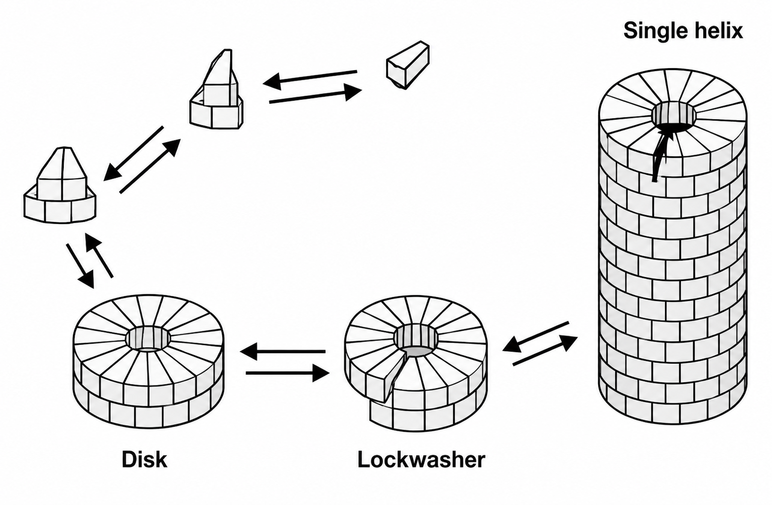 Tobacco Mosaic Virus self-assembly pathway — protein subunits progressing from disks and lockwashers to single helix through spontaneous reconstitution