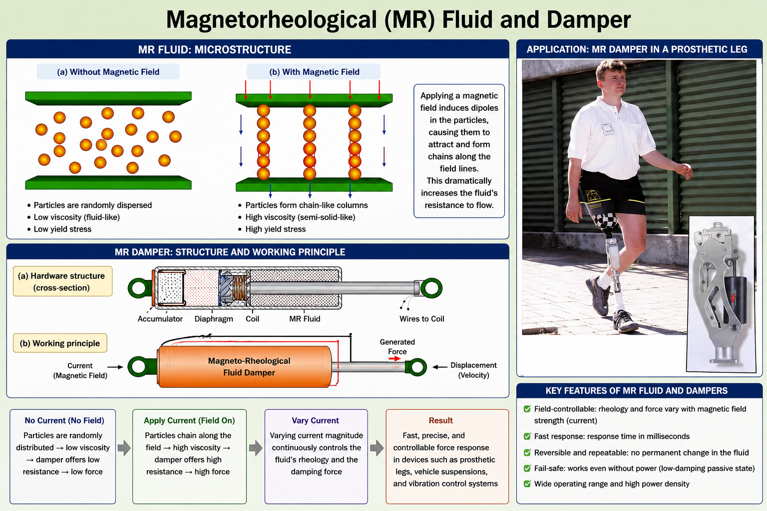 Four-panel figure on magnetorheological (MR) fluid and damper technology. Top-left panel (a): schematic of MR fluid without magnetic field — a gap between two green horizontal plates contains randomly distributed yellow-orange spherical particles floating freely, label reads Without Magnetic Field. Top-centre panel (b): same gap with a vertical magnetic field applied (red downward arrows on left, blue downward arrows on right) — the yellow-orange spheres have aligned into vertical chain-like columns between the plates, label reads With Magnetic Field. Bottom-left panel: hardware cross-section diagram of an MR fluid damper labelled Hardware structure (a). A cylindrical device is shown with components from left to right: Accumulator (dotted pattern), Diaphragm (thin separator), Coil (wire winding), MR Fluid (crosshatch pattern), and Wires to Coil (end connections), with two circular end-fittings. Bottom-centre panel: working principle schematic labelled Working principle (b). An orange oval block labelled Magneto-Rheological Fluid Damper has two circular coil symbols on either side. An arrow from Current (Magnetic Field) enters on the left; an arrow for Generated Force exits on the right leading to Displacement (Velocity).