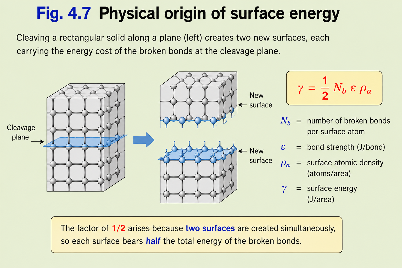 Left: schematic of a rectangular solid being cleaved into two pieces along a dashed line, with an arrow showing separation and two new surfaces created. Right: the surface energy equation γ = (1/2)N_b ε ρ_a, with N_b = number of broken bonds, ε = bond strength, ρ_a = surface atomic density