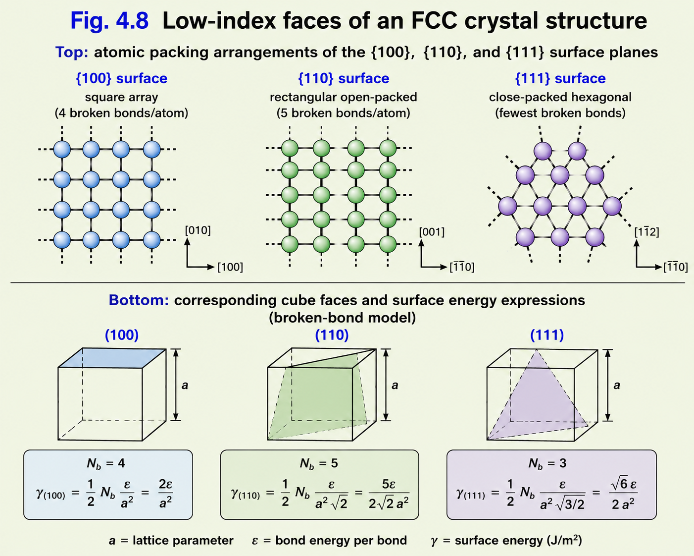 Top row: three atom-packing diagrams showing the {100}, {110}, and {111} surface planes of an FCC crystal — blue atoms show the surface layer, green atoms the subsurface. Bottom: three cube diagrams with shaded planes indicating {100} square face, {110} rectangular diagonal face, and {111} triangular face. Below each: surface energy equations γ{100}=4ε/a², γ{110}=5ε/(√2·a²), γ{111}=2√3·ε/a²