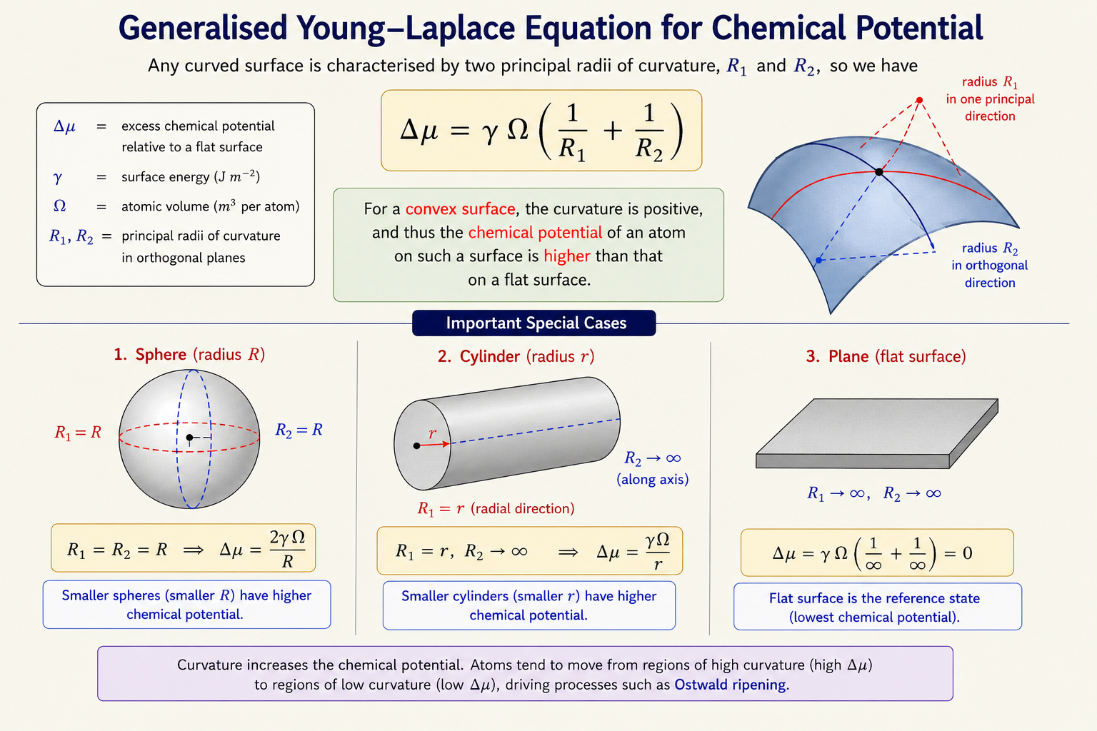 Equation slide showing the generalised Young-Laplace chemical potential equation Δμ = γΩ(1/R₁ + 1/R₂) for a surface with two principal radii of curvature R₁ and R₂, with text explaining that convex surfaces have positive curvature and therefore higher chemical potential than a flat surface