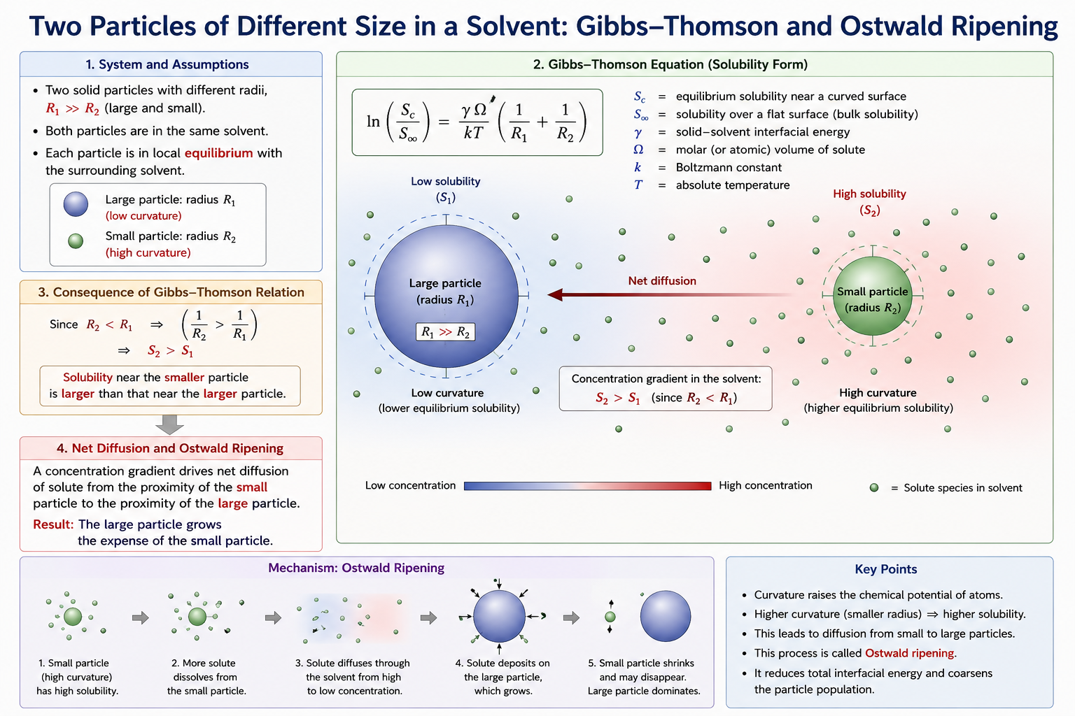Equation slide showing the Gibbs-Thomson equation ln(Sc/S∞) = γΩ(R₁⁻¹ + R₂⁻¹)/kT applied to two particles in solvent with R1 >> R2, with text stating that the smaller particle has larger solubility and net diffusion of solute occurs from the vicinity of the small particle to the vicinity of the large particle