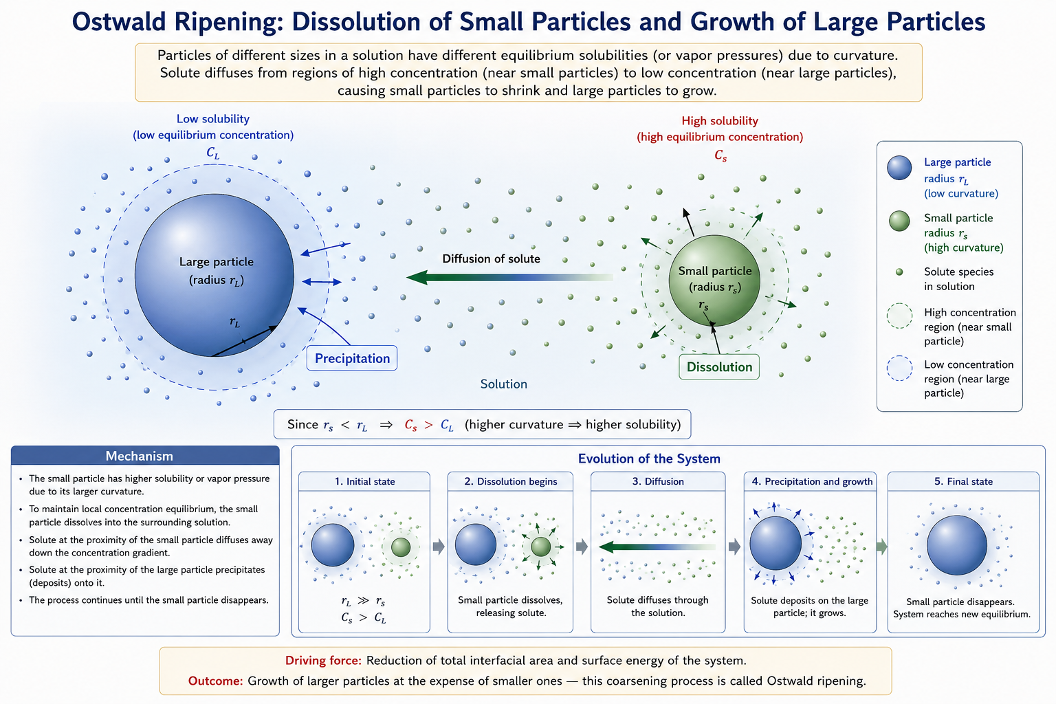 Schematic of Ostwald ripening showing a large solid particle (radius r_L) on the left surrounded by a diffuse halo representing its local solute concentration, and a small solid particle (radius r_s) on the right also surrounded by a halo. Arrows show: Dissolution leaving the small particle, Diffusion of solute through solution from small to large, and Precipitation onto the large particle surface