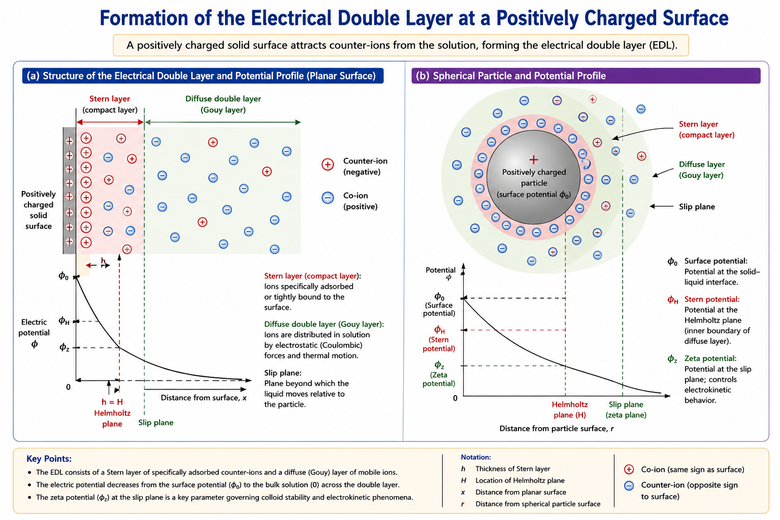 Two-panel electrical double layer schematic. Left panel: cross-section diagram showing positive surface charges on solid, Stern layer with tightly bound negative counter-ions, Gouy diffuse layer with scattered positive and negative ions, Helmholtz plane marked, slip plane marked, potentials Φ₀, Φ_H, Φ_z labelled, h=H Helmholtz plane. Right panel: 3D sphere model of particle surrounded by + and - ions with Stern layer and Diffuse layer zones marked by dashed lines; potential graph below showing Surface potential, Stern potential, Zeta potential curves vs Distance from particle surface.