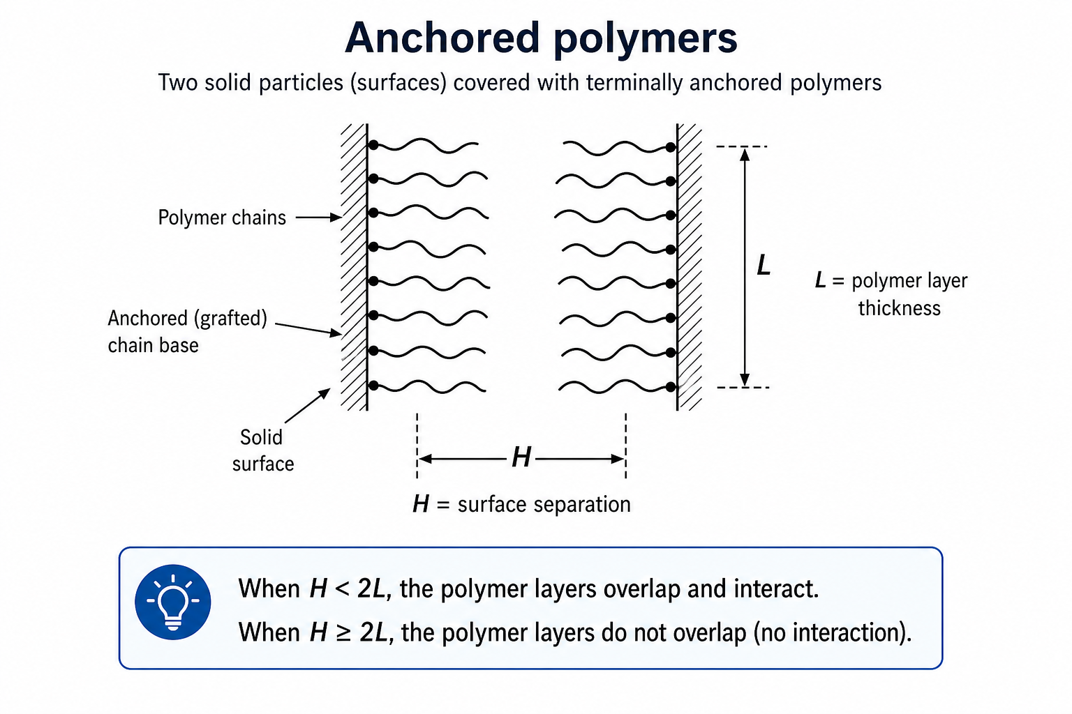 Anchored polymers schematic showing two solid surfaces (hatched) facing each other, each covered with terminally anchored wavy polymer chains. The gap between surfaces is labelled H and the polymer layer thickness is labelled L. The chains are shown as wavy lines anchored at their base.