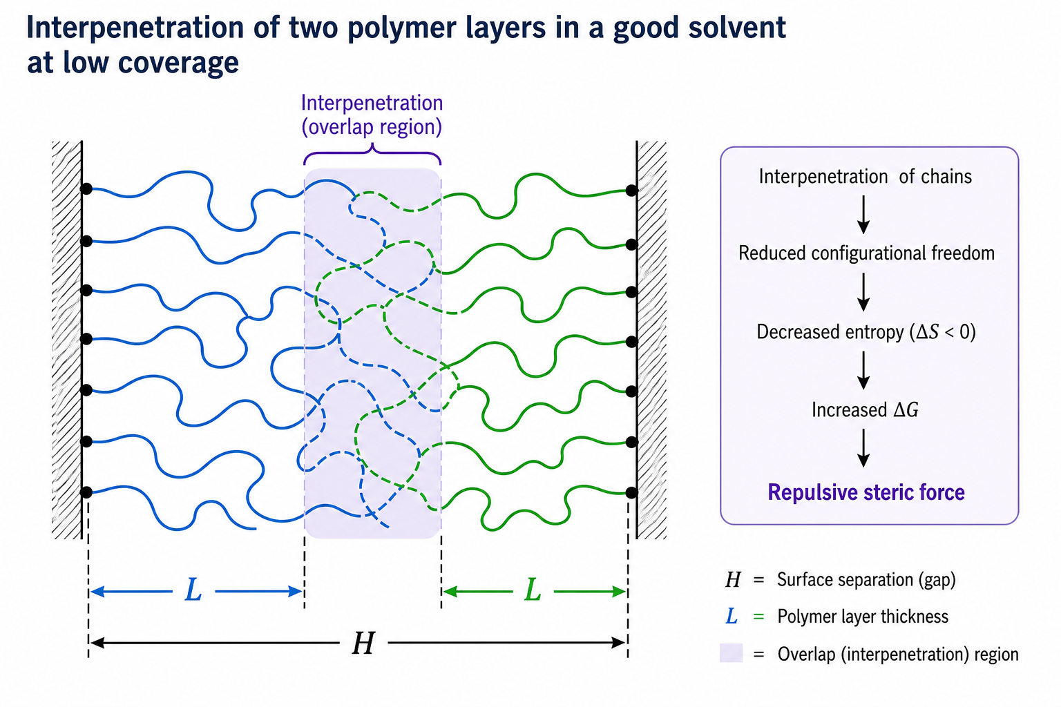 Small inset diagram showing two polymer layers interpenetrating between two hatched surfaces, with H gap label and L polymer layer thickness label. Chains are shown merging in the overlap zone.