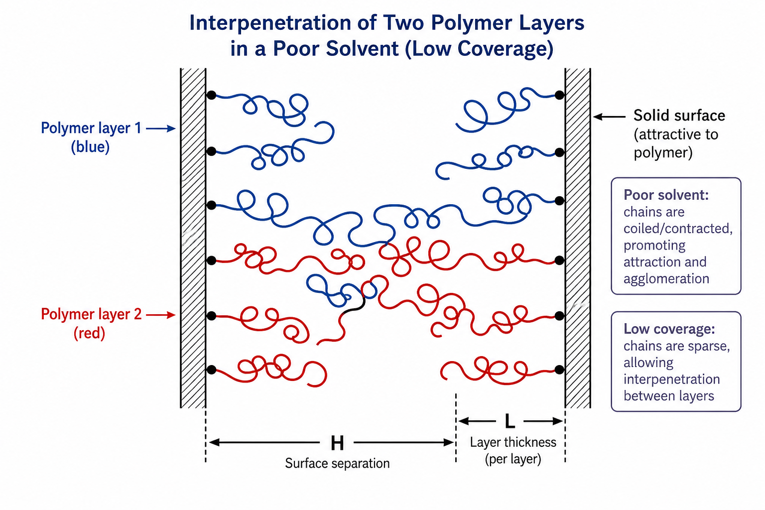 Diagram of two polymer layers in poor solvent with low coverage showing interpenetrating coiled polymer chains between two hatched surfaces, with H and L dimension labels. The chains are shown as tightly coiled loops.
